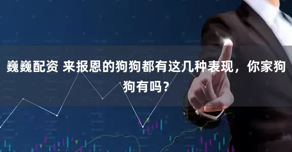 巍巍配资 来报恩的狗狗都有这几种表现，你家狗狗有吗？