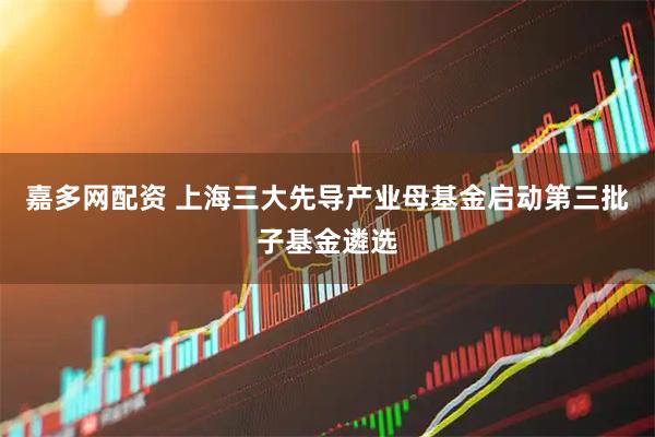 嘉多网配资 上海三大先导产业母基金启动第三批子基金遴选