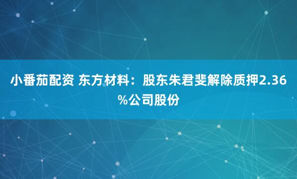 小番茄配资 东方材料：股东朱君斐解除质押2.36%公司股份