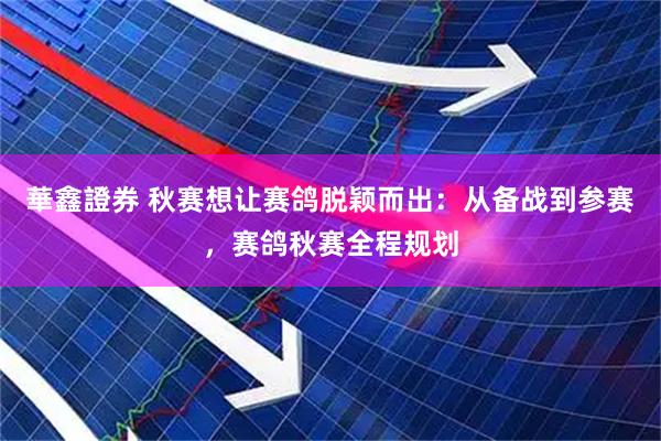 華鑫證券 秋赛想让赛鸽脱颖而出：从备战到参赛，赛鸽秋赛全程规划