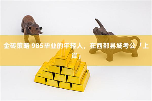 金砖策略 985毕业的年轻人，在西部县城考公「上岸」