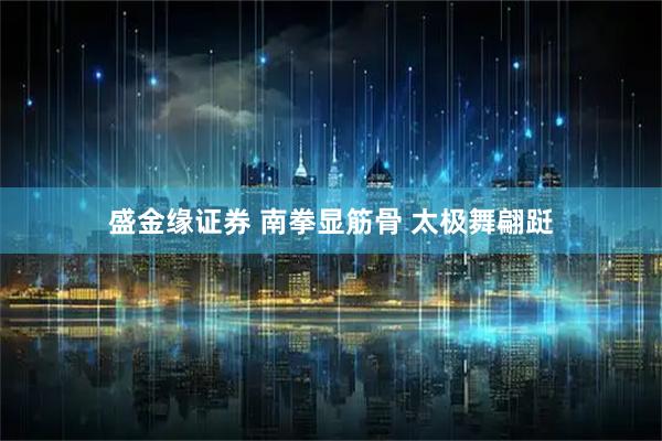 盛金缘证券 南拳显筋骨 太极舞翩跹